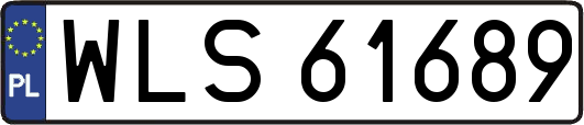 WLS61689