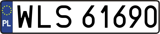 WLS61690