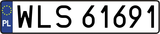 WLS61691