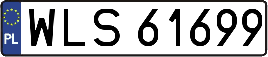 WLS61699