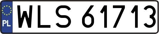 WLS61713