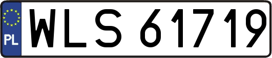 WLS61719