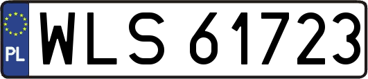 WLS61723