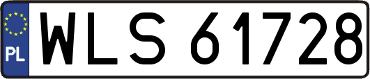 WLS61728