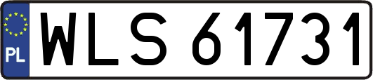 WLS61731