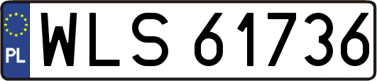 WLS61736