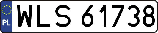WLS61738