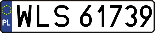 WLS61739