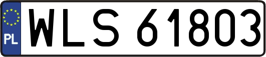WLS61803