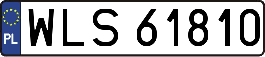 WLS61810