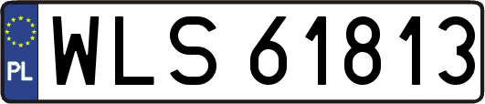WLS61813
