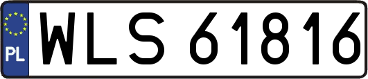 WLS61816