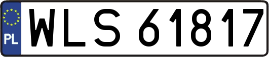 WLS61817