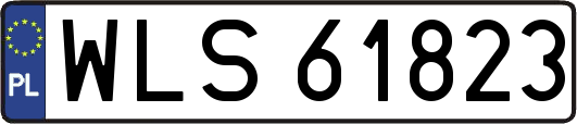 WLS61823