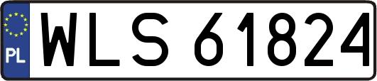 WLS61824