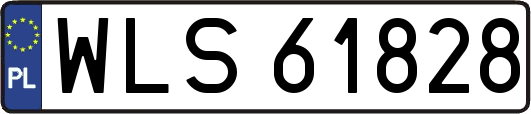 WLS61828