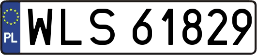 WLS61829