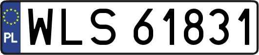 WLS61831