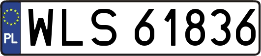 WLS61836