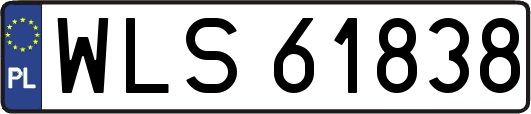 WLS61838