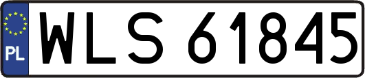 WLS61845