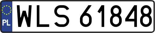 WLS61848