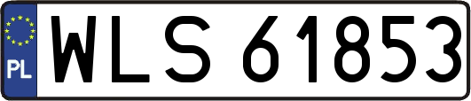 WLS61853