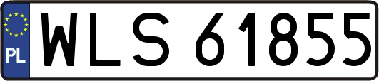 WLS61855