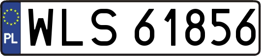 WLS61856