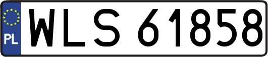 WLS61858