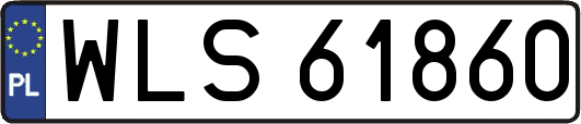 WLS61860