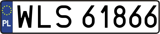 WLS61866