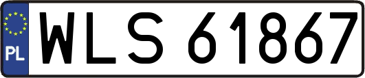 WLS61867