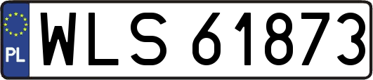 WLS61873