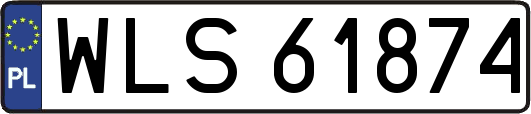 WLS61874