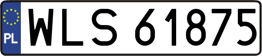WLS61875