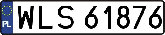 WLS61876