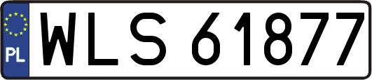 WLS61877