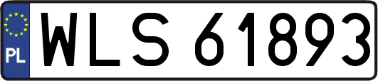 WLS61893