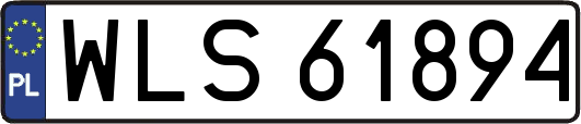 WLS61894