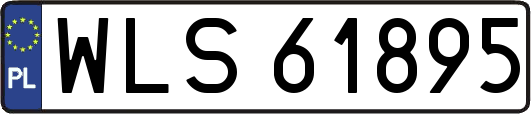 WLS61895