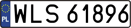 WLS61896