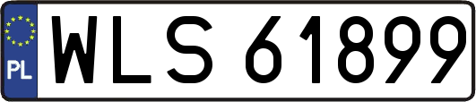 WLS61899