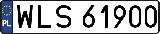 WLS61900