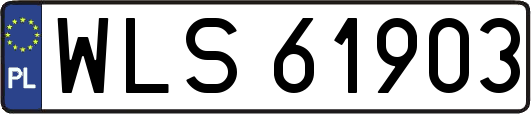 WLS61903