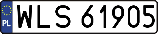 WLS61905