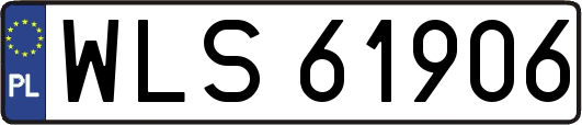 WLS61906