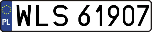 WLS61907