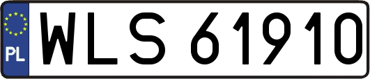WLS61910