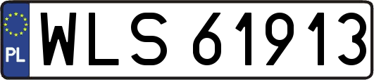 WLS61913